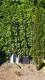HOME It Garden® ergonomisk spetsspade i stål, 122 cm