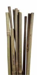 HOME It® bambupinne Ø 10 mm 120 cm 4 st.