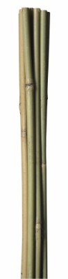 HOME It® bambupinne Ø 10 mm 120 cm 4 st.