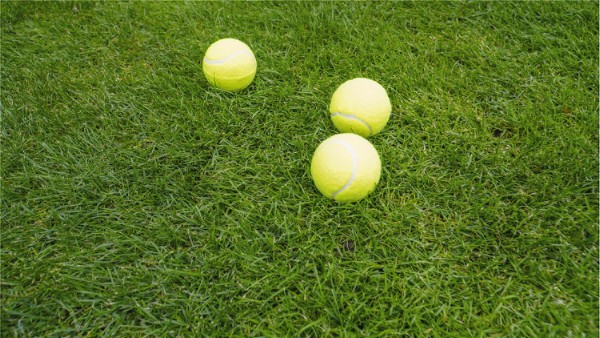 HOME It® tennisbollar 3 st.
