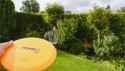 HOME It® frisbeegolf/discgolf